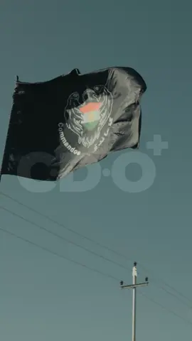 کۆماندۆ نالەرزێت و هەمیشە بەپێوە دەبێت💚🦅 #کۆماندۆی_کوردستان #ئاکامی_گەل💚 #فەرماندە_دیار_عومەر #فەرماندە_ئاکام_عومەر #کۆماندۆی_یەکێتی #کەرکوک #سلێمانی #kurdistan #دژەتیرۆر #کۆماندۆ #بافڵ_تاڵەبانی #هەولێر 