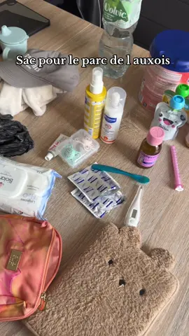 Sac à langer pour une sortie au parc de l auxois #CapCut #pourtoi #fyp #bebes #parcdelauxois 