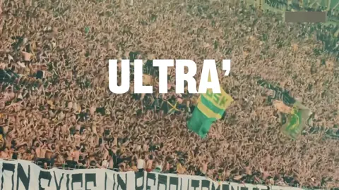 adhérer à l’ultra, n’attendez plus !!!  #jsk #ultra #nativi 