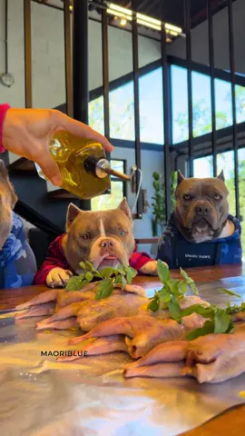 Codornas Assadas 🤩🐾 Com Quirera 😋 