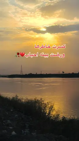 #الراحل_حيدر_العابدي_ #اعادة_النشر🔃 #تصميم_فيديوهات🎶🎤🎬 #ستوريات #تصويري📷 #اخر_اشي_نسختو💭🥀 