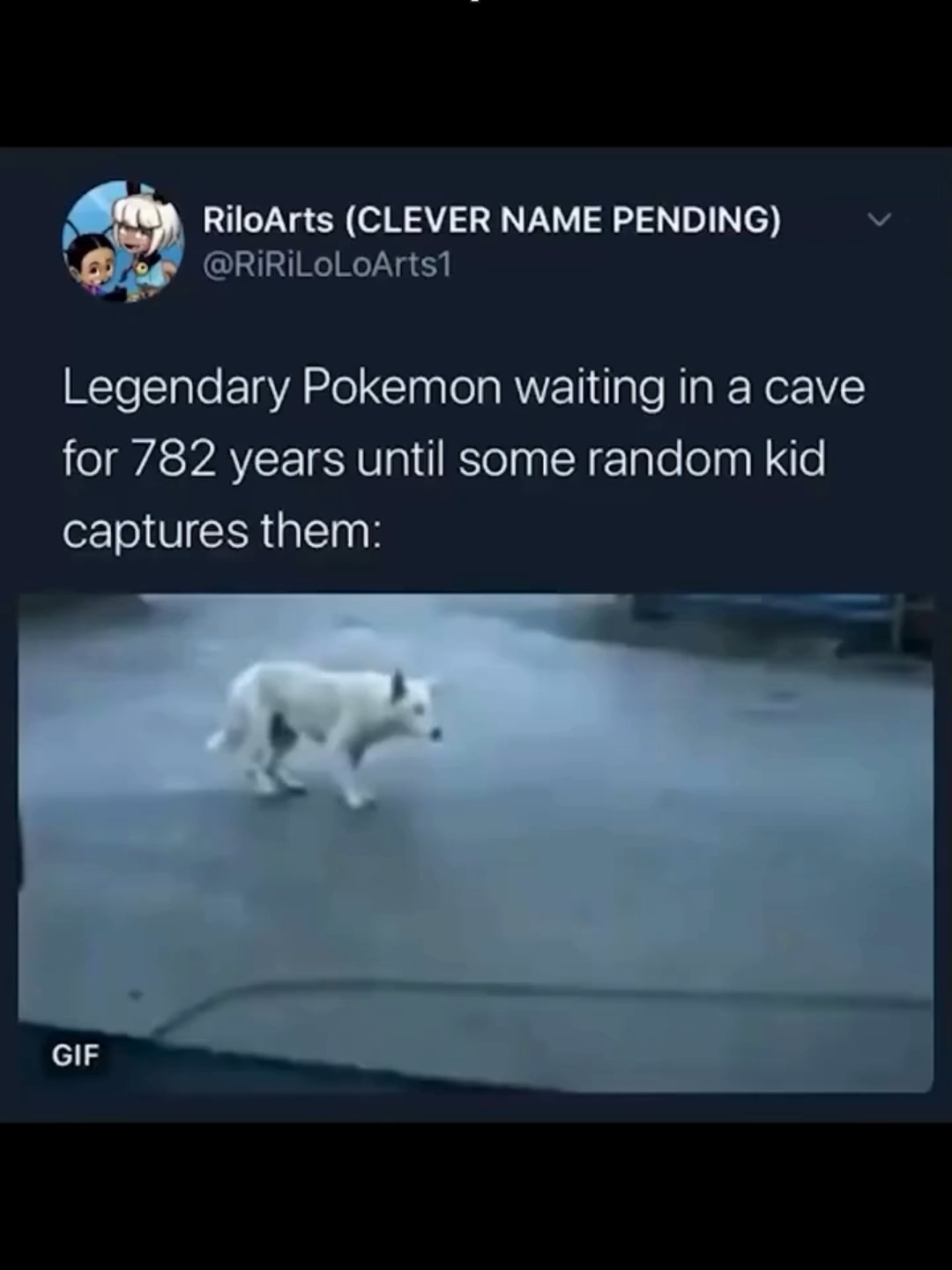 then you show up with a Poké Ball. 😂 Tag someone who always finds the legends first! #PokemonMemes #PokemonCommunity #Pokemon #LegendaryPokemon