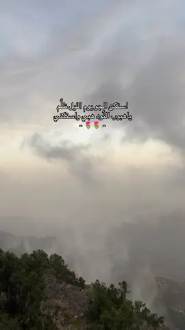 #اكسبلورexplore #بدون_هشتاق #ضباب #سلطان_البريكي