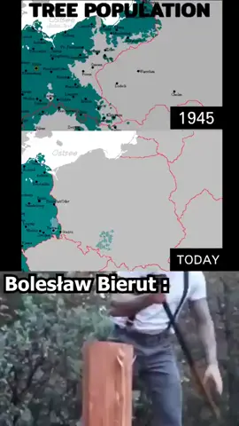 cos to wylesianie szybko poszlo #fyp #historia #bierut t