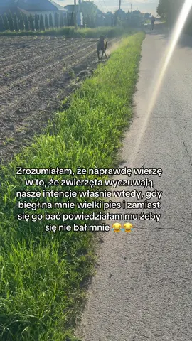 #dog #tiktok