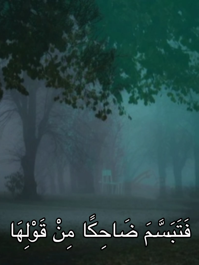 #قران #quran #قران_كريم #المنشاوي #محمد_صديق_المنشاوي #fyp 