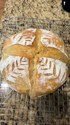 Aquí con #misionimposible mi primer pan de #masamadre me costó 100 intentos pero ahí vamos quedó delicioso 