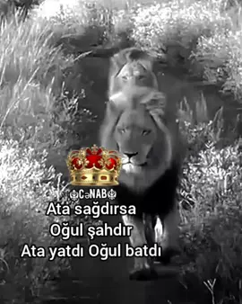 Canın Atam👑🔥