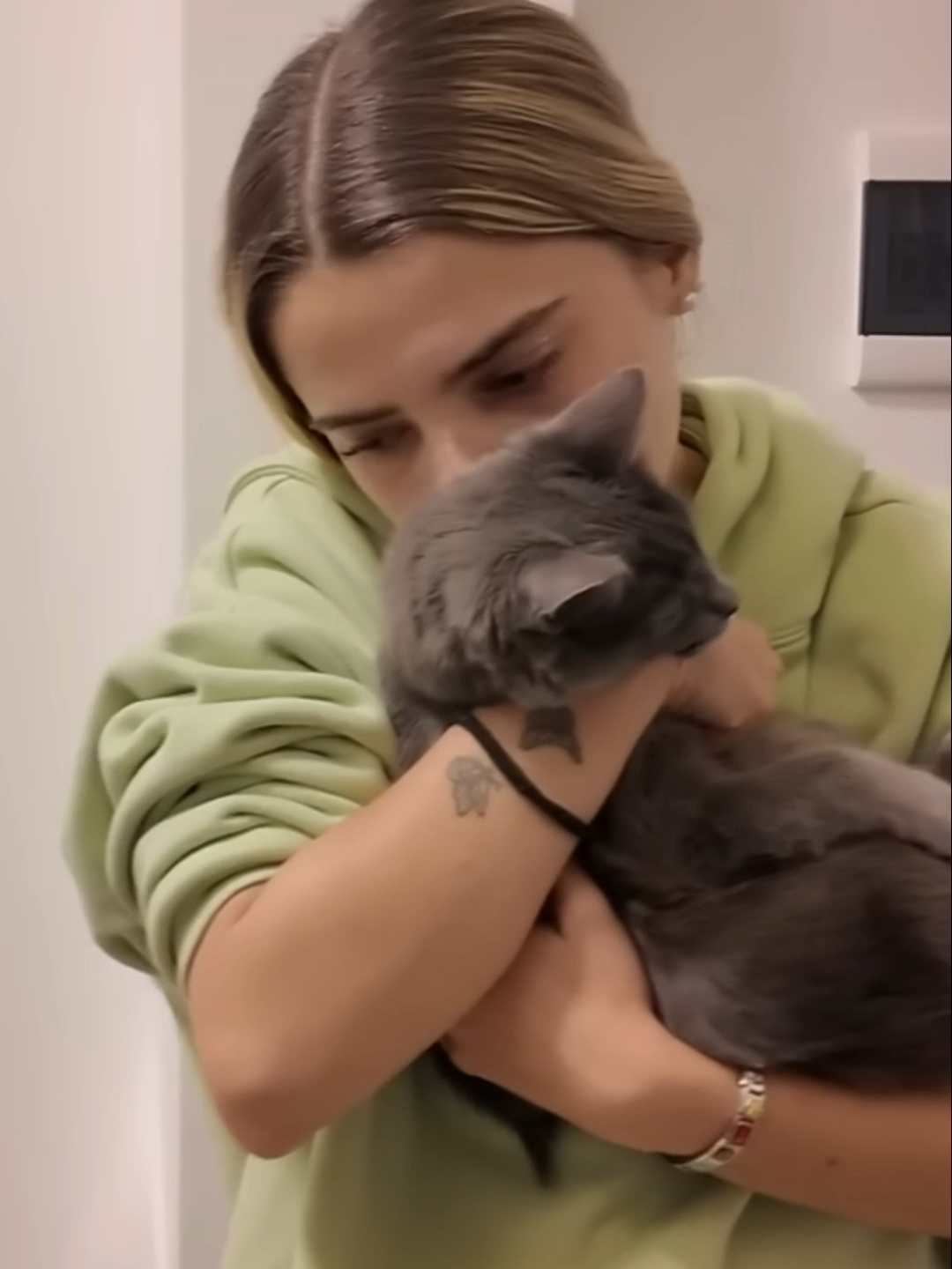 Gato y Buzo_ Lo Mejor Desde Que Me Mudé Sola #dominguezbrii