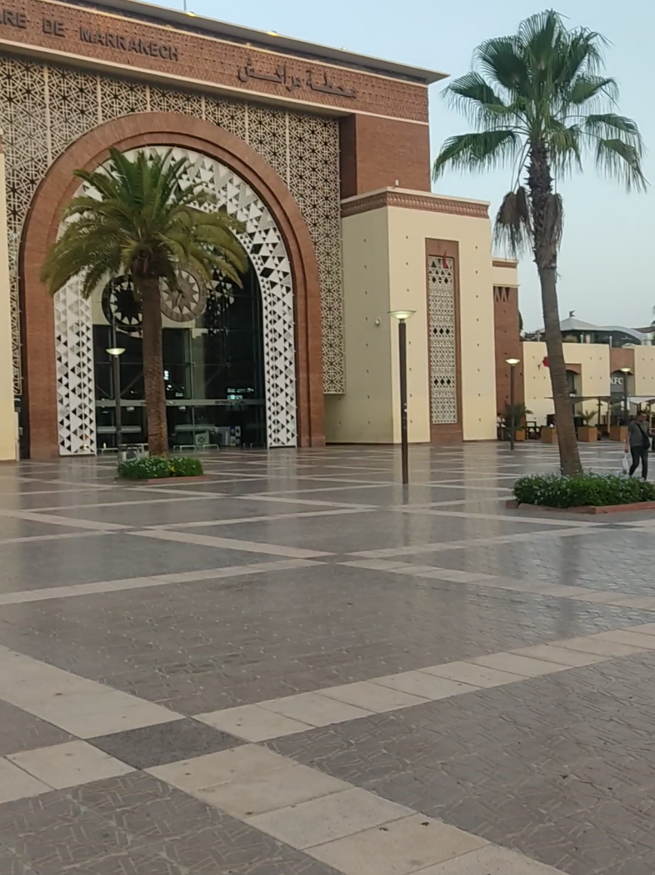 تونسي يبكي بعد زيارته للمغرب ويتمنى لو كانت بلاده كالمغرب#documorocco #المغرب🇲🇦تونس🇹🇳الجزائر🇩🇿 #marocaine🇲🇦 #morocco #maroc 