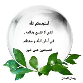 أستودعكم الله الذي لا تضيع ودائعه . في أمان الله و حفظه. #تصبحون_على_خير #حفظكم_الله_ورعاكم #اللهم_آمين_يارب_العالمين #لا_إله_إلا_الله_محمد_رسول_الله #لا_حول_ولا_قوة_إلا_بالله_العلي_العظيم #الحمدلله_دائماً_وابداً 