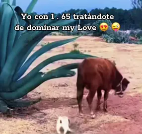 #para🔥ti #sonrie_y_se_feliz🥰♥️solo_contenido 