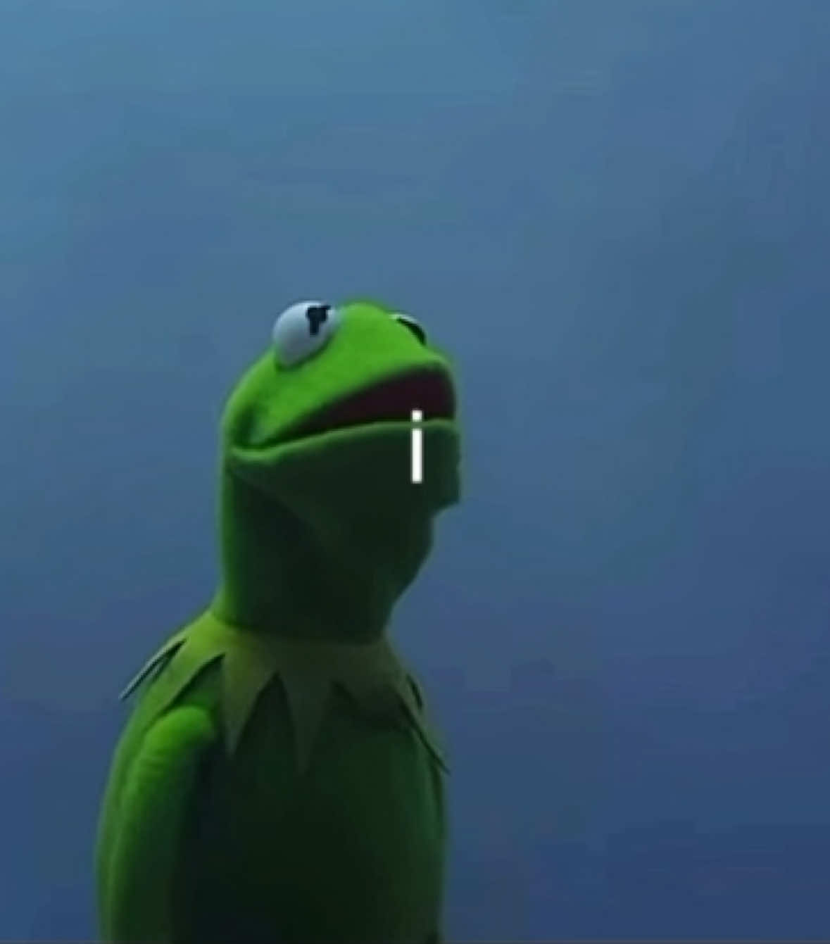 the lyrics are perfect idk if anyone has done this yet #muppets #muppetsmostwanted #kermit #constantine #niche #muppetedit #chappellroan #subway #fyp #foryou #lyric #viral 