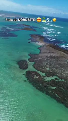 #ParaisoPE #SaoJosedaCoroaGrande #pernambuco #litoralpernabucano #alagoas #maragogi 