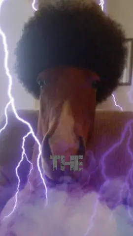 #CapCut 