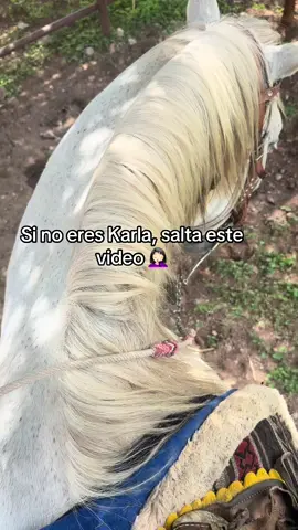 @Karleshion #usted me debe y me tiene que pagar 🤪