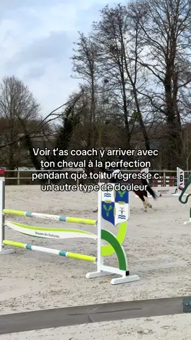 🧏‍♀️🧏‍♀️#horse #cavalier #pourtoii #equitation #cheval 