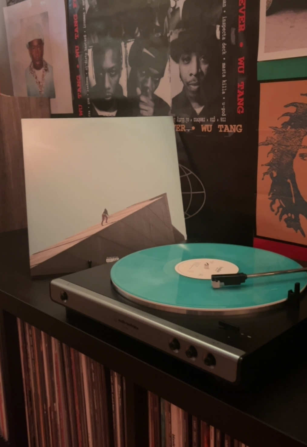 Neu Roses (Transgressor's Song) - Daniel Caesar #freudian #rnb #vinyl #danielcaesar #vinylcollection #fyp #2017 