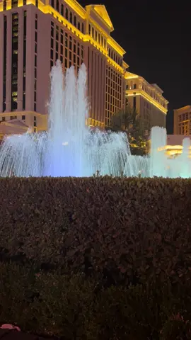 Vegas Vegas