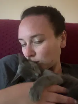 #hersheypark #kitten I found #Milton at Hershey park on July 25th, and he’s the most loving cat I’ve had in 17 years. My other close contender is my 17 year old cat #mustachio 