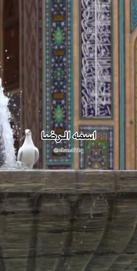 السَّلامُ عَلَيْكَ يا شَمْسَ الشُّمُوسِ🤍 #عاشوراء #مشهد #امام_رضا_علیه_السلام -#313 #explore 