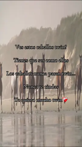 Keep going twin… #nichetok #under #corecore 