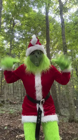 Hi 🎄 #grinch #grinchtiktok #dance #viral #trend 