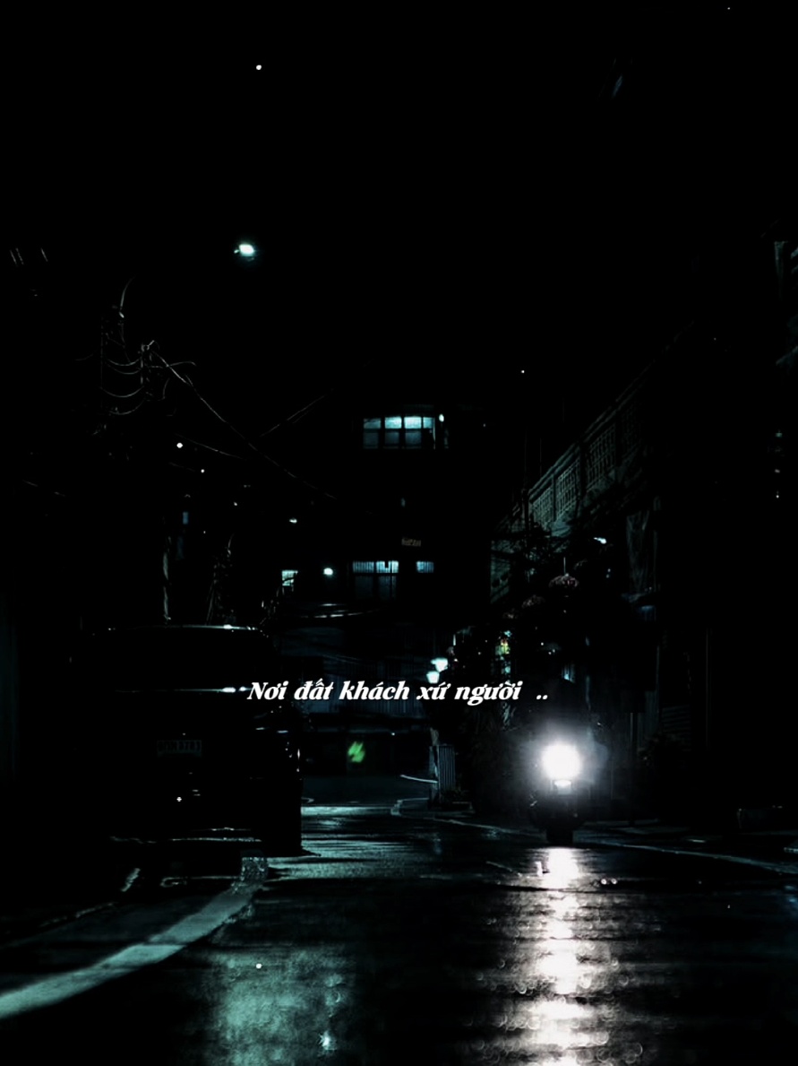 lặng thầm bao năm lũ nơi đất khách quê người... #sbtentertainment  #fpyシ  #nhactamtrang #nhachaymoingay  #nvy_065 