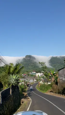 air terjun#fypシ゚viral #fyp #pasuruanjawatimur #gunungtanggung1458mdpl #taji 