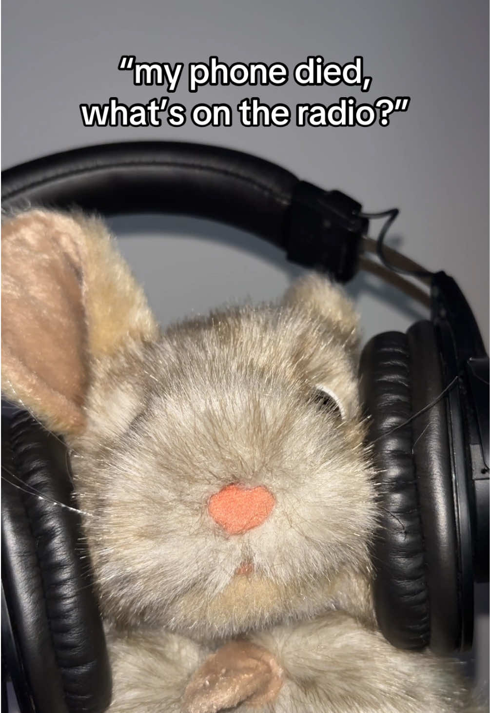 #fyp #radio #puppets #relatable #weirdcore #silly 