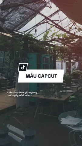 #CapCut Anh chưa bao giờ ngừng một ngày nhớ về em #khobau #nhachaymoingay #tamtrang #mẫucapcut #lyrics #remix #xuhuong #fyp #trend #thangmebeat #trumview #capcut #capcutpioneer #pioneertemplate 