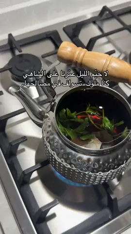 #اكسبلوررررررر #فلاح_المسردي_ #شيلات#روايات 