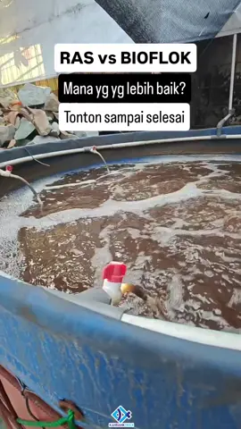 Penilaian ini subjektif dr sudut pandang sy pribadi. Pada dasarnya semua memiliki kekurangan dan kelebihannya masing