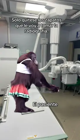 No todos los estudios requieren que el paciente se retire toda la ropa. La indicación depende del área a examinar.  Siempre pregunta si no estás seguro: con gusto te orientamos.” #fyppppppppppppppppppppppp #radiologytechnologist #tik_tok #CapCut #radiologia #Meme 