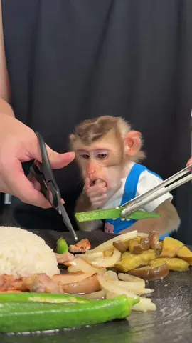 BiBi doesn’t like okra😅 #monkey #pets #viral #moment 