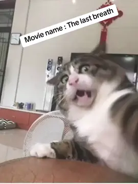 Part 17:the last breath#laugh #shorts #memes #part #nature #lion #jungle 