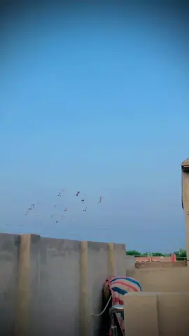 hye oye 🕊️ alyo 😂#foryou #funnycontent #viral #princesspari77 #uktiktok #ownvoice #1m #fyp @Princess Pari 