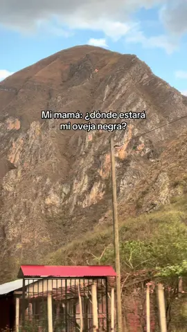 🤣🤪😂#trip #travel #gocta 