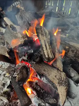 hujan hujan enaknya bakar kayu, kalo dalam bahasa Jawa namanya 