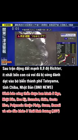 🌊| Sau trận động đất mạnh 8,8 độ Richter, ít nhất bốn con cá voi đã bị sóng đánh dạt vào bờ biển thành phố Tateyama, tỉnh Chiba, Nhật Bản.#viral #thinhhanh #xuhuong #tiktoknews #tintuc #dongdat #songthan 
