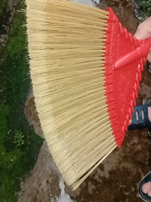 Combo 3 cây chổi cước quét nhà quét sân chỉ 79K. #NhàTítMít  #đồgiadụng  #chổicước @Nhà Tít Mít @Nhà Tít Mít 
