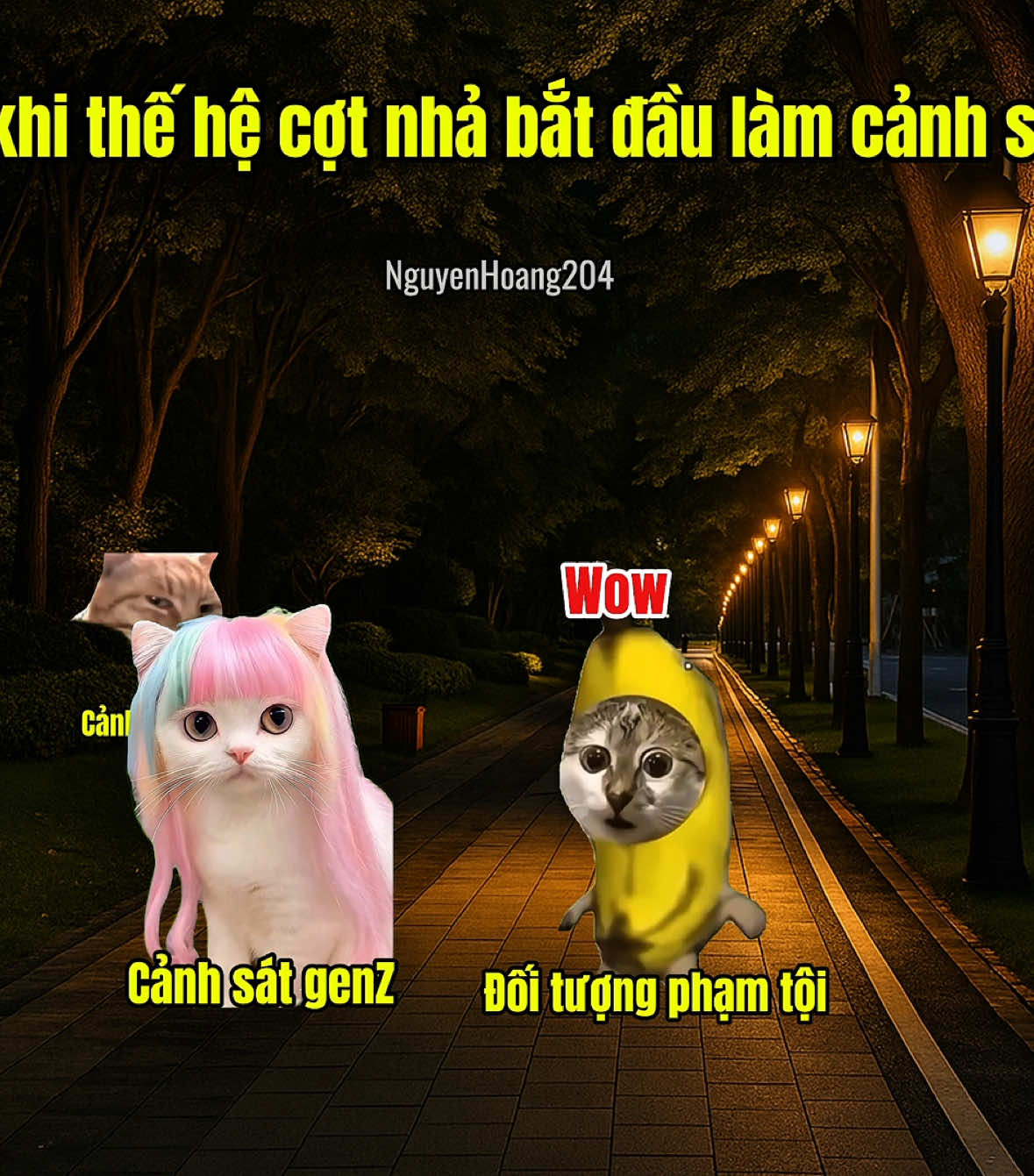 Khi genZ bắt đầu làm cảnh sát #meme #catmeme 