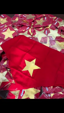 Tranh thủ chụp ảnh sớm đi cả nhà ơii, #langbac đông quá rồi còn tình iu nào chưa có khăn không ạaa🫶🏻🇻🇳🇻🇳.                              #khanchoangsaovang #khanyeunuoc #viral #concertquocgia #quockhanh #fyp 