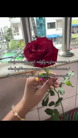 တကယ်တော့…see more  #foryou #fyp 🥺💐