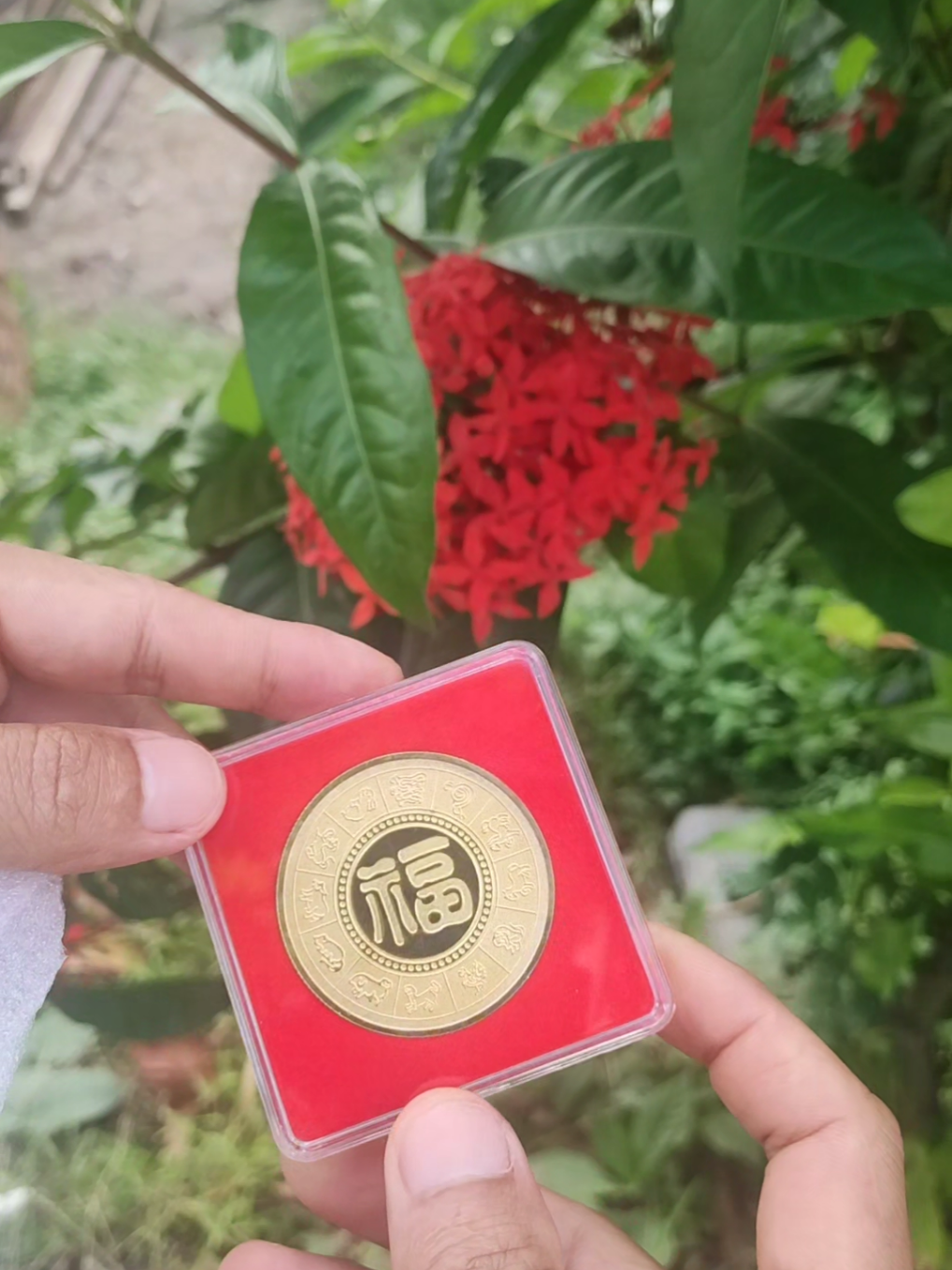 bộ đồng xu 12 con giáp 