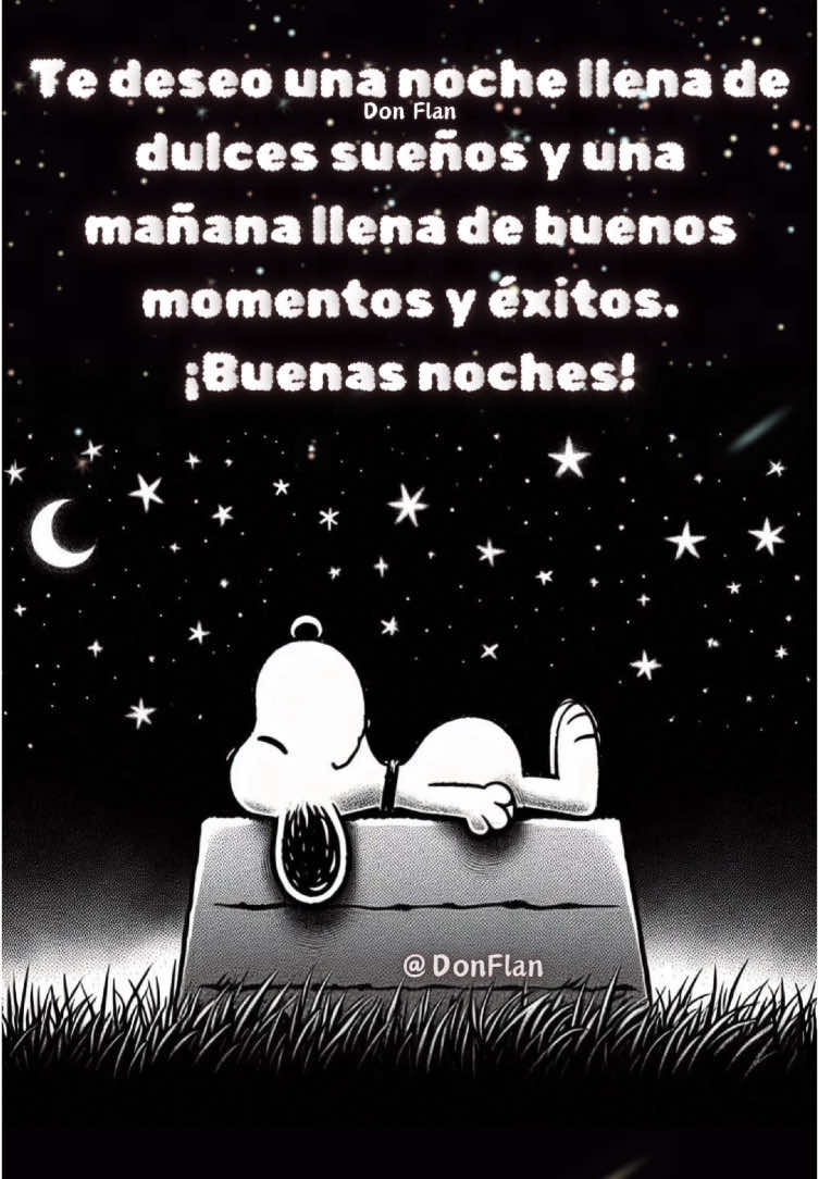 Buenas noches #paratii #snoopy #buenasnoches #donflan 