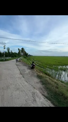 người ta nói em yêu tôi..!#nhactamtrang #hkt