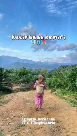 yuk ikut aku kutip buah kemiri🧚🏻‍♀️✨ #pitaahrld #minivlog #kemiri 