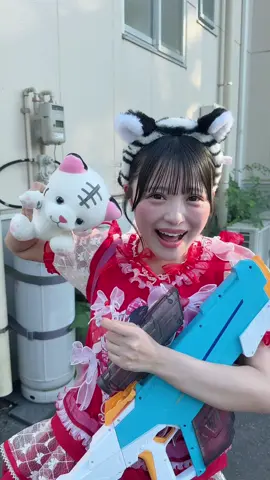 攻撃されてもかわいいから許しちゃう🐯 #iLiFE #idol 