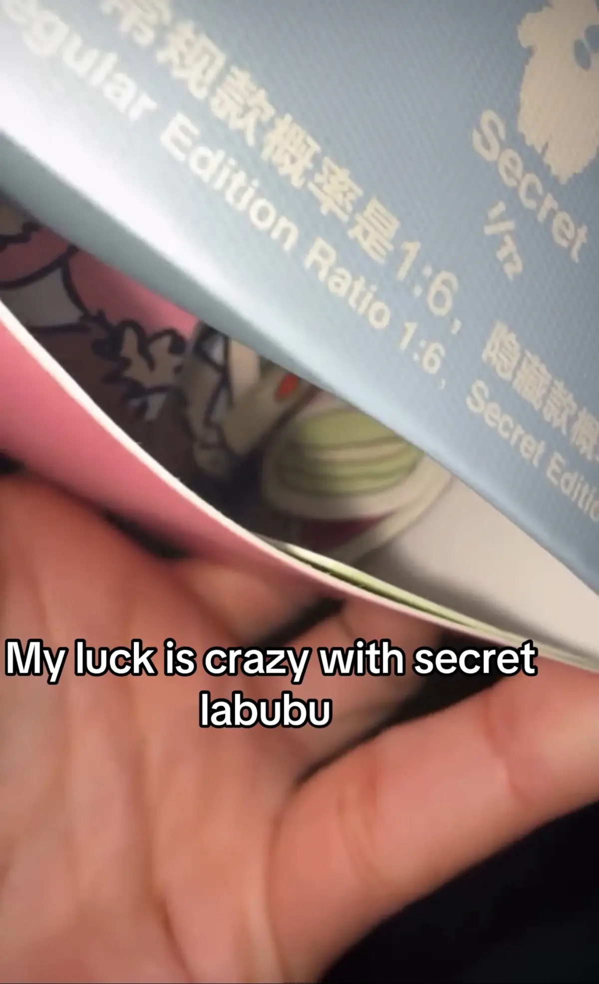 Another day, another secret 😂 #labubu #labubuthemonsters #chestnutcocoa #secretlabubu #popmart #excitingmacaron 